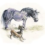 ALTES PFERD UND VERRÜCKTER HUND _ Aquarell