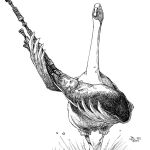 GANS MIT DUDELSACK _ Feder, Tusche